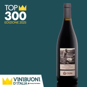 Gloriano, Teroldego Cantina Mas dei Chini Trento in cassetta di legno. Questo vino è stato inserito nella TOP 300, il riconoscimento speciale assegnato durante le Finali Nazionali dai curatori nazionali della guida Vinibuoni d'Italia ai migliori 300 tra i vini che hanno ottenuto la CORONA