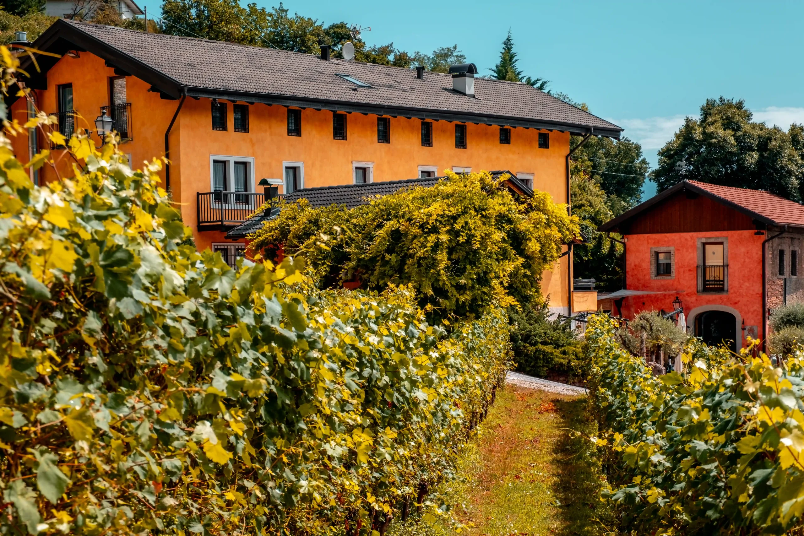 agriturismo, cantina e ristorante mas dei chini trento